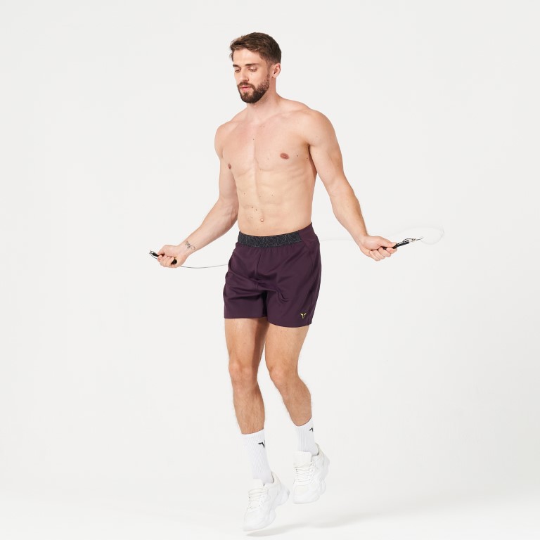 Lab360° TDry™ Flex Shorts - Plum Perfect